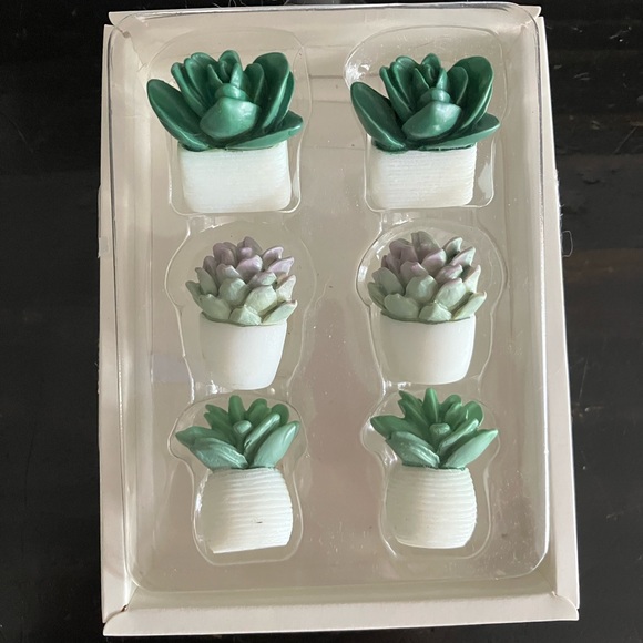 NEW Potted Succulent Push Pins - Picture 2 of 3